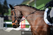 ref. photo 3559093