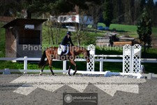ref. photo 3559099