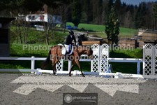 ref. photo 3559100