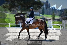 ref. photo 3559101