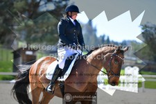 ref. photo 3559105
