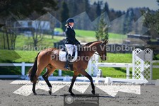 ref. photo 3559110