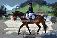 ref. photo 3559115