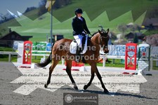ref. photo 3559117