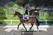 ref. photo 3559122
