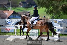 ref. photo 3559124
