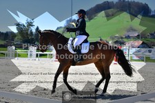 ref. photo 3559129