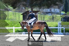 ref. photo 3559135