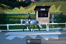 ref. photo 3559145
