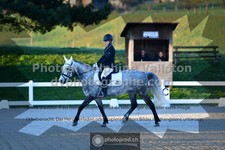 ref. photo 3559157