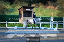 ref. photo 3559169