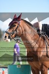 ref. photo 3559190