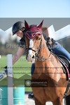 ref. photo 3559191