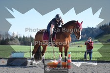 ref. photo 3559196