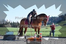 ref. photo 3559197