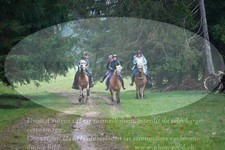 ref. photo 3354142