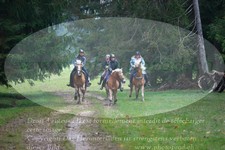 ref. photo 3354143