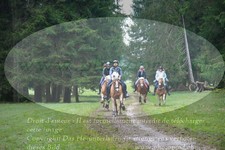 ref. photo 3354146