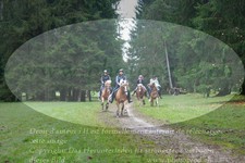 ref. photo 3354148