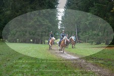 ref. photo 3354149