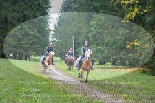 ref. photo 3354151