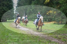 ref. photo 3354152