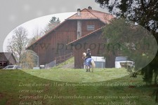 ref. photo 3354163