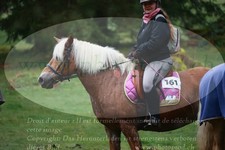 ref. photo 3354164