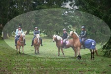 ref. photo 3354168