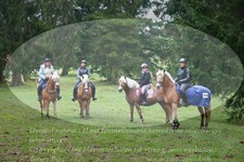 ref. photo 3354169