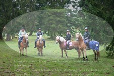 ref. photo 3354171