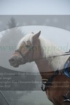 ref. photo 3354186