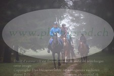 ref. photo 3354195