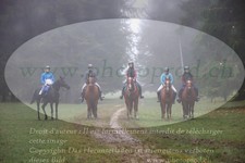 ref. photo 3354199