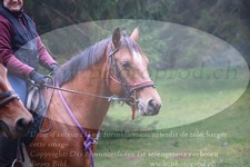 ref. photo 3354216