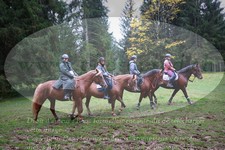 ref. photo 3354242