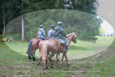 ref. photo 3354243