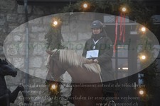 ref. photo 3354250