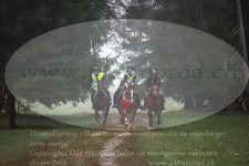 ref. photo 3354261