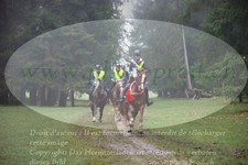ref. photo 3354267