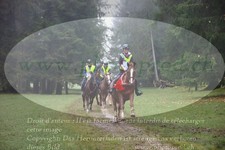 ref. photo 3354268