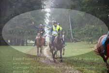 ref. photo 3354270