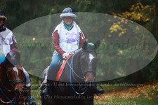 ref. photo 3354290