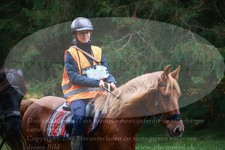 ref. photo 3354315