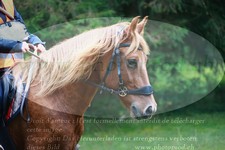 ref. photo 3354316