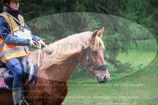 ref. photo 3354317
