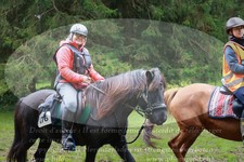 ref. photo 3354318