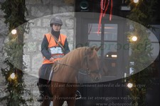 ref. photo 3354323
