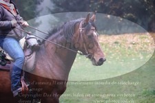 ref. photo 3354343