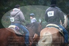 ref. photo 3354348